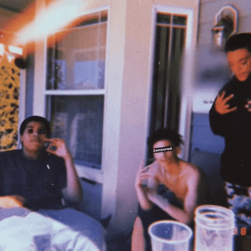 Daily Discoveries (April 20th 2022)