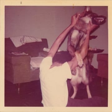 E L U C I D – I Told Bessie (Review)