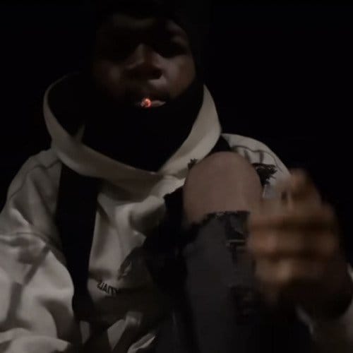 Daily Discoveries (August 20th 2024)