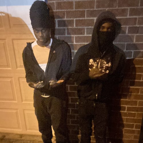 Daily Discoveries (November 9th 2024)