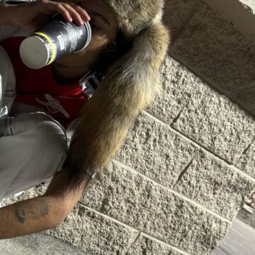 Daily Discoveries (November 19th 2024)