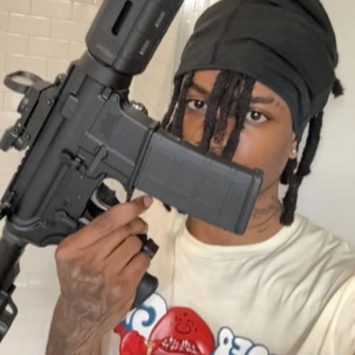 Daily Discoveries (November 23rd 2024)