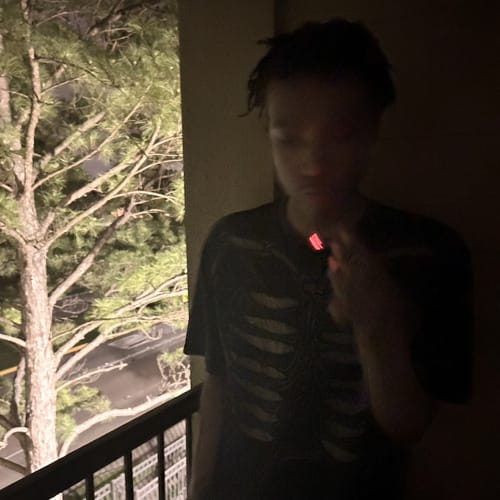 Daily Discoveries (November 8th 2024)